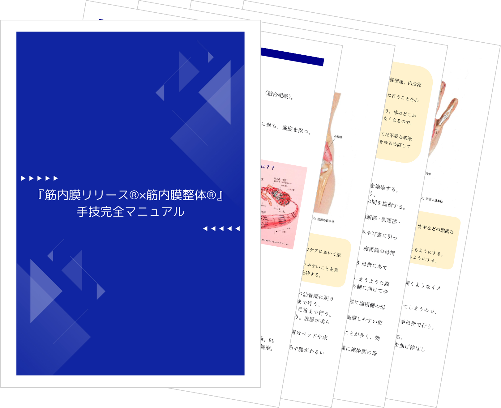 手技完全マニュアル